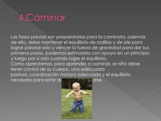 Las fases previas son preparatorias para la caminata, además
de ello, debe mantener el equilibrio de rodillas y de pie para
lograr pararse solo y vencer la fuerza de gravedad para dar sus
primeros pasos, podemos estimularlo con apoyo en un principio
y luego por sí solo cuando logre el equilibrio.
Como apreciamos, para aprender a caminar, el niño debe
tener control de su cuerpo, una adecuada
postura, coordinación motora adecuada y el equilibrio
necesario para estar de pie y desplazarse.
 