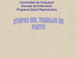 Universidad de Guayaquil
Escuela de Enfermería
Programa Salud Reproductiva
 