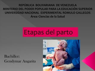 Etapas del parto PPT 