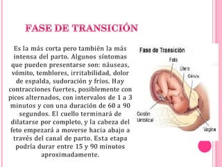Es la más corta pero también la más
intensa del parto. Algunos síntomas
que pueden presentarse son: náuseas,
vómito, temblores, irritabilidad, dolor
de espalda, sudoración y fríos. Hay
contracciones fuertes, posiblemente con
picos alternados, con intervalos de 1 a 3
minutos y con una duración de 60 a 90
segundos. El cuello terminará de
dilatarse por completo, y la cabeza del
feto empezará a moverse hacia abajo a
través del canal de parto. Esta etapa
podría durar entre 15 y 90 minutos
aproximadamente.
 