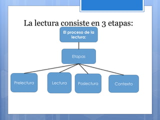 Etapas del proceso de la lectura | PPTX