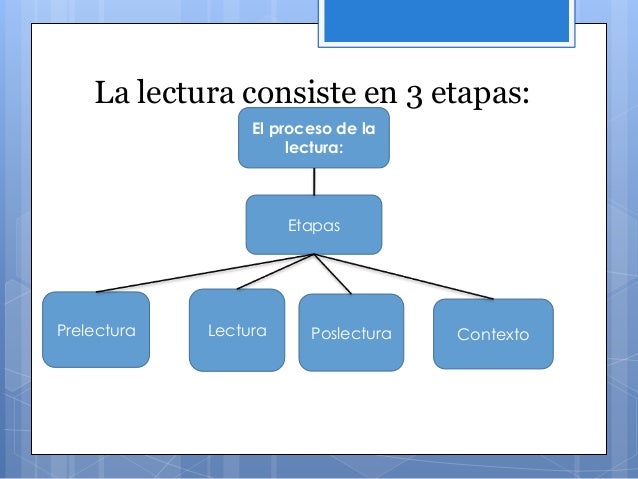 Etapas Del Proceso De La Lectura