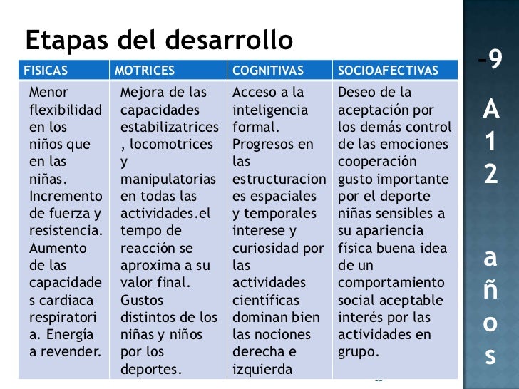 Desarrollo Cognitivo De 6 A 12 Años