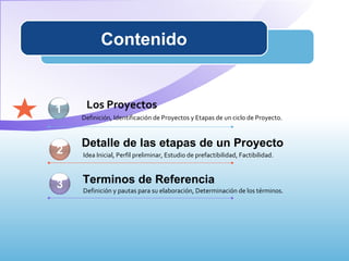 Contenido Detalle de las etapas de un Proyecto Los Proyectos Definición, Identificación de Proyectos y Etapas de un ciclo ...