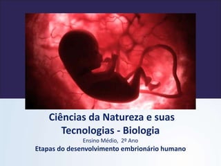 Ciências da Natureza e suas
Tecnologias - Biologia
Ensino Médio, 2º Ano
Etapas do desenvolvimento embrionário humano
 