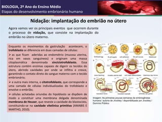 Nidação: implantação do embrião no útero
Enquanto os movimentos da gastrulação acontecem, o
trofoblasto se diferencia em d...
