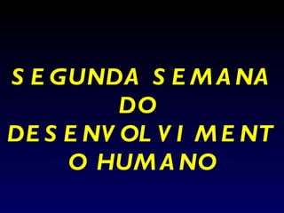 SEGUNDA SEMANA DO  DESENVOLVIMENTO HUMANO 