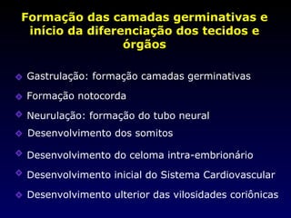 Formação das camadas germinativas e início da diferenciação dos tecidos e órgãos Neurulação: formação do tubo neural Gastrulação: formação camadas germinativas Desenvolvimento dos somitos Desenvolvimento do celoma intra-embrionário Desenvolvimento inicial do Sistema Cardiovascular Desenvolvimento ulterior das vilosidades coriônicas Formação notocorda 