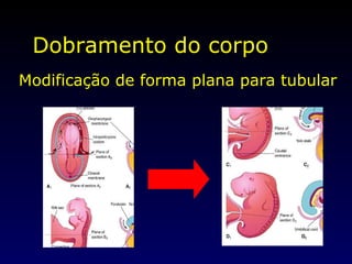 Modificação de forma plana para tubular Dobramento do corpo 