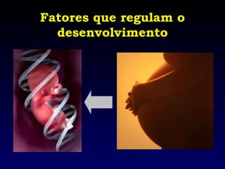 Fatores que regulam o desenvolvimento 