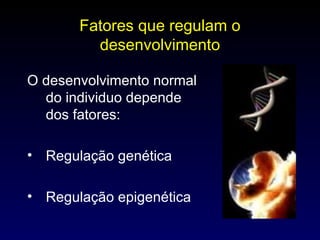 Fatores que regulam o desenvolvimento O desenvolvimento normal do individuo depende dos fatores: Regulação genética Regulação epigenética 