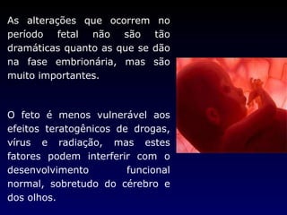 As alterações que ocorrem no período fetal não são tão dramáticas quanto as que se dão na fase embrionária, mas são muito importantes.  O feto é menos vulnerável aos efeitos teratogênicos de drogas, vírus e radiação, mas estes fatores podem interferir com o desenvolvimento funcional normal, sobretudo do cérebro e dos olhos. 
