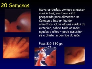 20 Semanas                                     Move os dedos, começa a nascer suas unhas, sua boca está preparada para alimentar-se. Começa a beber líquido amniótico. Ouve alguns ruidos do exterior, sobre todo os mais agudos e altos – pode assustar-se e chutar a barriga da mãe Pesa 310-330 gr.    Mede 23 cm.                                         