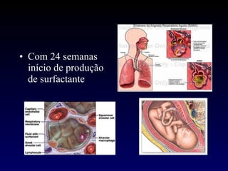 Com 24 semanas início de produção de surfactante 