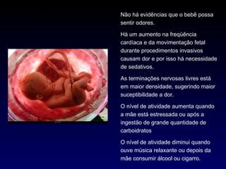Durante toda a gravidez...  Não há evidências que o bebê possa sentir odores. Há um aumento na freqüência cardíaca e da movimentação fetal durante procedimentos invasivos causam dor e por isso há necessidade de sedativos. As terminações nervosas livres está em maior densidade, sugerindo maior suceptibilidade a dor. O nível de atividade aumenta quando a mãe está estressada ou após a ingestão de grande quantidade de carboidratos O nível de atividade diminui quando ouve música relaxante ou depois da mãe consumir álcool ou cigarro. 
