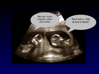 Será que a  vida lá fora é difícil? Não sei, nunca ninguém voltou pra contar! 