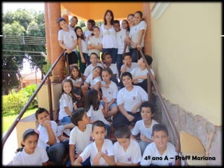 4º ano A – Profª Mariana
 