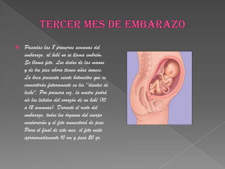 TERCER MES DE EMBARAZO Pasadas las 8 primeras semanas del embarazo, al bebé no se llama embrión. Se llama feto. Los dedos de las manos y de los pies ahora tienen uñas suaves. La boca presenta veinte botoncitos que se convertirán futuramente en los ''dientes de leche". Por primera vez, la madre podrá oír los latidos del corazón de su bebé (10 a 12 semanas). Durante el resto del embarazo, todos los órganos del cuerpo madurarán y el feto aumentará de peso. Para el final de este mes, el feto mide aproximadamente 10 cm y pesa 20 gr.