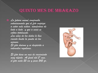 QUINTO MES DE MBARAZOLa futura mamá comprueba entusiasmada que el feto empieza a estar más activo, moviéndose de lado a lado, y que a veces se voltea totalmente.Las uñas de los dedos le han crecido hasta la punta de los mismos.El feto duerme y se despierta a intervalos regulares.El feto tiene un mes de crecimiento muy rápido. Al final del 5º mes, el feto mide 25 cm y pesa 245 gr.