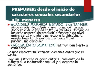 PREPUBER: desde el inicio de
caracteres sexuales secundarios
a la menarca
 GLÁNDULA MAMARIA: ESTADO 3 de TANNER:
sigue creciendo, adquiere una forma cónica que
sobresale de la pared costal, aumenta el tamaño de
las aréolas pero sin producir diferencia de nivel
entre estas y la piel que recubre la glándula; la
areola toma color mas oscuro; aumenta el
parénquima glandular.
 CRECIMIENTO SOMATICO: es muy manifiesto a
esta edad.
La niña empieza su “estirón" dos años antes que el
varón.
Hay una estrecha relación entre el comienzo de la
pubertad, la maduración sexual y el desarrollo
somático.
 