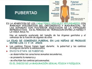 PUBERTAD
ES LA APARICION DE LOS CARACTERES SEXUALES SECUNDARIOS CON
MARCADA ACELERACION DEL CRECIMIENTO Y MADURACION DE
LAS GONADAS CON POSTERIOR ADQUISION DE LA CAPACIDAD
REPRODUCTIVA. ES EL PERIODO DE TRANSCION ENTRE LA NIÑEZ Y
LA VIDA ADULTA.
Hay un aumento acelerado del tamaño de los órganos genitales y el
comienzo de la función de algunos de ellos
LA EDAD DE COMIENZO PUBERAL EN LAS NIÑAS SE PRODUCE
ENTRE LOS 11 Y 14 AÑOS
 Los cambios físicos tienen lugar durante la pubertad y los cambios
sicológicos durante la adolescencia
 EN ESTA ETAPA DE PUBERTAD
- se desarrollan los caracteres sexuales secundarios,
- se presenta la menarca y
- se efectúan los cambios psicosexuales;
ES EL INICIO DE LA MADURACIÓN SEXUAL FÍSICA Y PSÍQUICA.
 