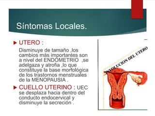 Síntomas Locales.
 UTERO :
Disminuye de tamaño ,los
cambios más importantes son
a nivel del ENDOMETRIO ,se
adelgaza y atrofia ,lo que
constituye la base morfológica
de los trastornos menstruales
de la MENOPAUSIA .
 CUELLO UTERINO : UEC
se desplaza hacia dentro del
conducto endocervical y
disminuye la secreción .
 