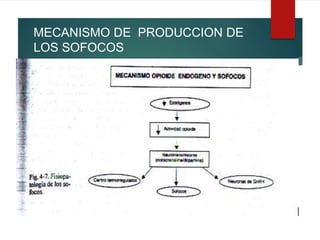 MECANISMO DE PRODUCCION DE
LOS SOFOCOS
 