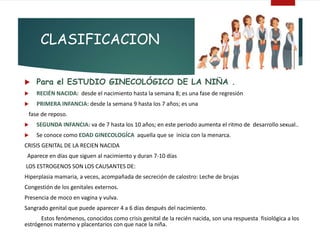 CLASIFICACION
 Para el ESTUDIO GINECOLÓGICO DE LA NIÑA .
 RECIÉN NACIDA: desde el nacimiento hasta la semana 8; es una fase de regresión
 PRIMERA INFANCIA: desde la semana 9 hasta los 7 años; es una
fase de reposo.
 SEGUNDA INFANCIA: va de 7 hasta los 10 años; en este periodo aumenta el ritmo de desarrollo sexual..
 Se conoce como EDAD GINECOLOGÍCA aquella que se inicia con la menarca.
CRISIS GENITAL DE LA RECIEN NACIDA
Aparece en días que siguen al nacimiento y duran 7-10 días
LOS ESTROGENOS SON LOS CAUSANTES DE:
Hiperplasia mamaria, a veces, acompañada de secreción de calostro: Leche de brujas
Congestión de los genitales externos.
Presencia de moco en vagina y vulva.
Sangrado genital que puede aparecer 4 a 6 días después del nacimiento.
Estos fenómenos, conocidos como crisis genital de la recién nacida, son una respuesta fisiológica a los
estrógenos materno y placentarios con que nace la niña.
 