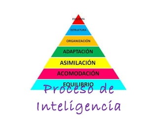 Proceso de
Inteligencia
 