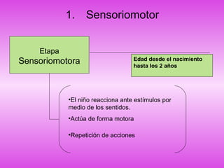 1. Sensoriomotor
Etapa
Sensoriomotora Edad desde el nacimiento
hasta los 2 años
•El niño reacciona ante estímulos por
medio de los sentidos.
•Actúa de forma motora
•Repetición de acciones
 