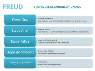 ETAPAS DEL DESARROLLO HUMANO