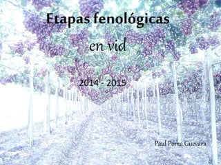 Etapas fenológicas
en vid
2014 - 2015
Paul Poma Guevara
 