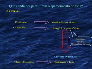 Que condições permitiram o aparecimento de vida?
No início...


      • Continentes          Vulcões (lavas e cinzas)

     • Atmosfera             Hidrogénio + gases tóxicos
                                         R
                                         E
                                         S
                                         U
                                         L          Amoníaco;
                                         T           Metano;
                                         O
                                         U
                                                Monóxido de Carbono

                                         da




                               Actividade vulcânica

      • Raios ultravioleta     Queimavam a Terra
 