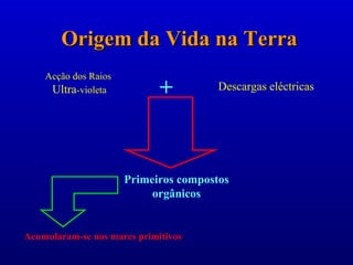 Origem da Vida na Terra
    Acção dos Raios
     Ultra-violeta           +         Descargas eléctricas




                      Primeiros compostos
                           orgânicos


Acumularam-se nos mares primitivos
 