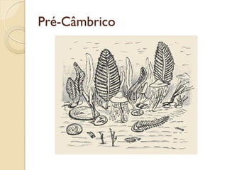 Pré-Câmbrico
 