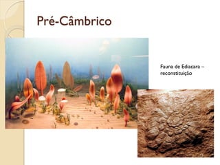 Pré-Câmbrico
Fauna de Ediacara –
reconstituição
 