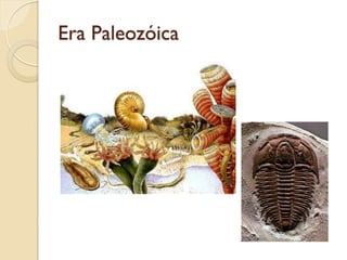 Era Paleozóica
 