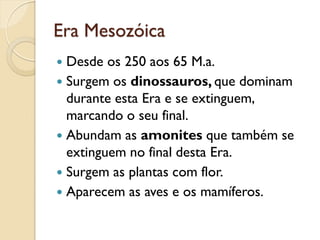 Era Mesozóica
 Desde os 250 aos 65 M.a.
 Surgem os dinossauros, que dominam
durante esta Era e se extinguem,
marcando o seu final.
 Abundam as amonites que também se
extinguem no final desta Era.
 Surgem as plantas com flor.
 Aparecem as aves e os mamíferos.
 