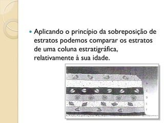  Aplicando o princípio da sobreposição de
estratos podemos comparar os estratos
de uma coluna estratigráfica,
relativamente à sua idade.
 