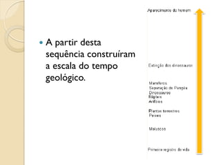  A partir desta
sequência construíram
a escala do tempo
geológico.
 