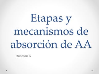 Etapas y
mecanismos de
absorción de AA
Buestan R
 