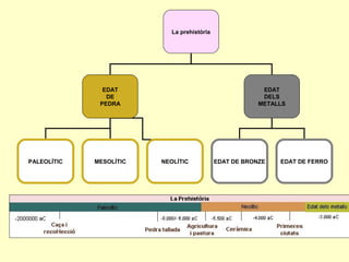 La prehistòria
EDAT
DE
PEDRA
EDAT
DELS
METALLS
PALEOLÍTIC MESOLÍTIC EDAT DE BRONZE EDAT DE FERRONEOLÍTIC
 
