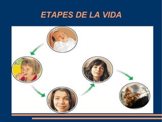 ETAPES DE LA VIDA 