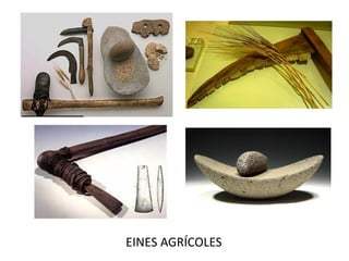 EINES AGRÍCOLES
 