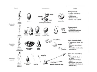 Etapes prehistòria
