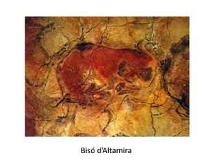 Bisó d’Altamira
 