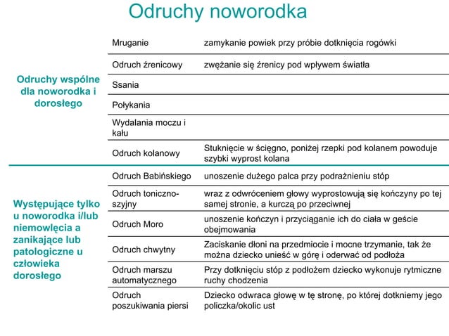 Etapy rozwoju człowieka | PPT
