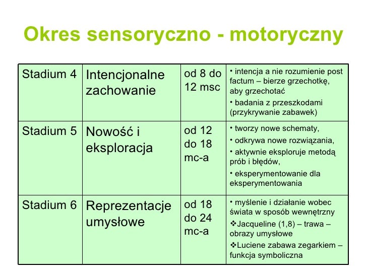 Etapy rozwoju człowieka
