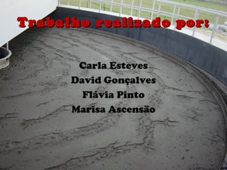 Trabalho realizado por:Trabalho realizado por:
Carla Esteves
David Gonçalves
Flávia Pinto
Marisa Ascensão
 
