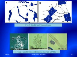 29-4-2013 10Escola Faria De Vaconcelos
 